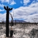 desert after climate change